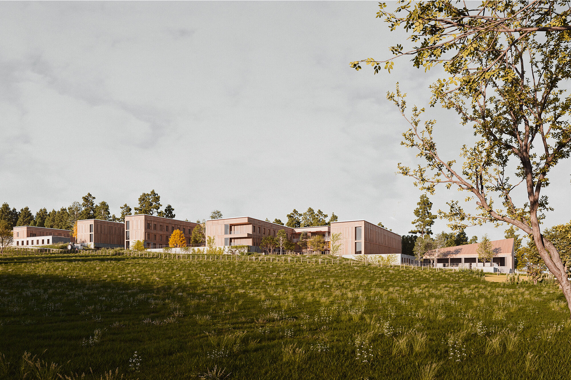 Complejo de equipamientos sociales con residencia para mayores, centro de día y residencia para personas con discapacidad